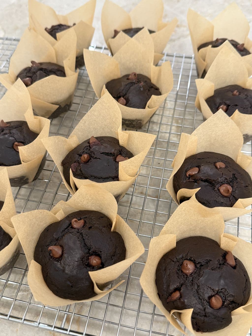 Double Chocolate Muffins